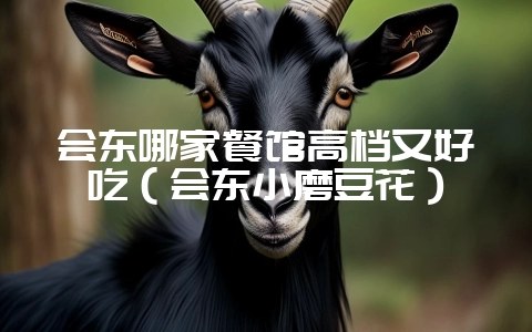 会东哪家餐馆高档又好吃(会东小磨豆花)-会东网