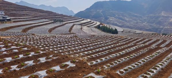 凉山州会东是贫困县吗?四川会东县很穷吗?-会东网