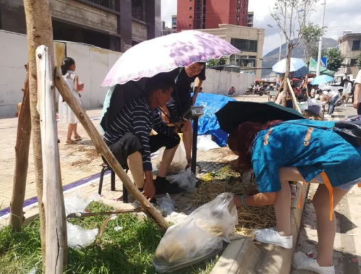 会东小吃豆腐乳(会东豆腐乳介绍)插图 会东小吃豆腐乳(会东豆腐乳介绍)插图