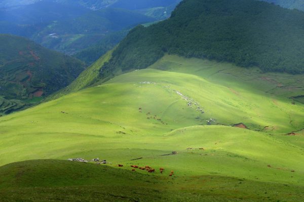 会东旅游日记:会东的热情和风景一样美!-会东网