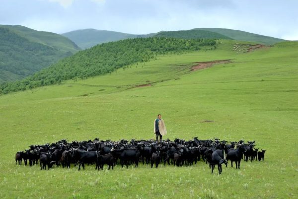 凉山州具布拖县脱贫了吗?2026年最新脱贫成果深度解析插图1 凉山州具布拖县脱贫了吗?2026年最新脱贫成果深度解析插图1