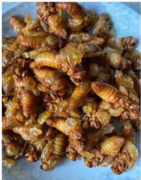 会东山珍美食炸知了(会东特别出名的小吃）?插图2