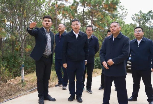 环江红调研文旅产业发展，强调推进文旅强县战略-会东网