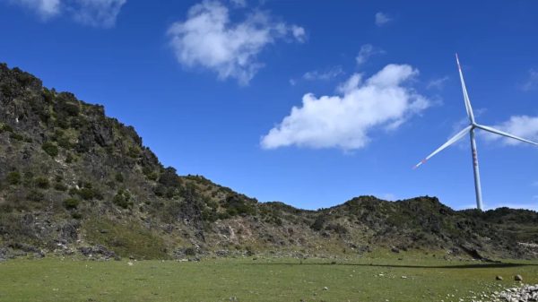 新街镇：农文旅融合发展助力乡村振兴！-会东网