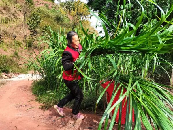 坚韧母爱，30年孝老敬亲插图