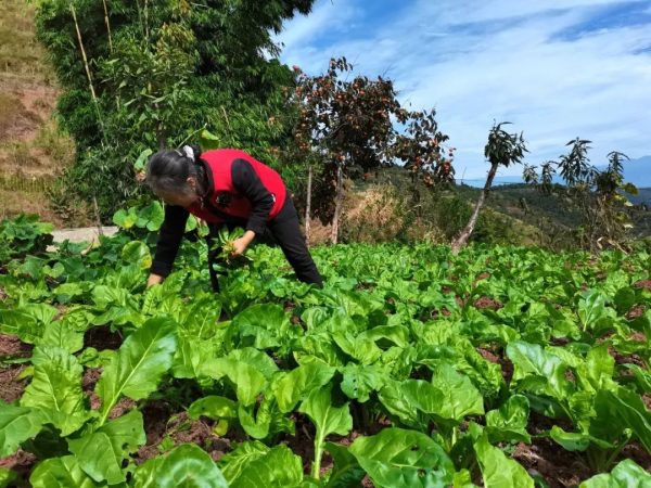 坚韧母爱，30年孝老敬亲插图3