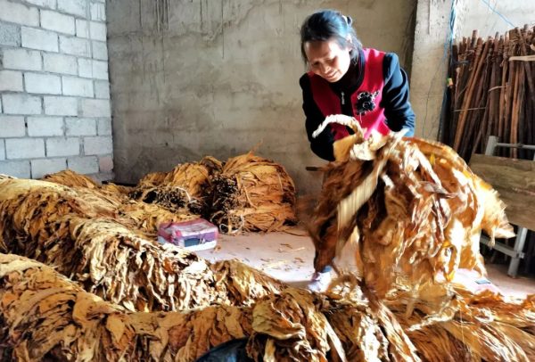 坚韧母爱，30年孝老敬亲插图1