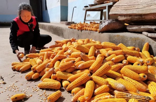 坚韧母爱，30年孝老敬亲插图2