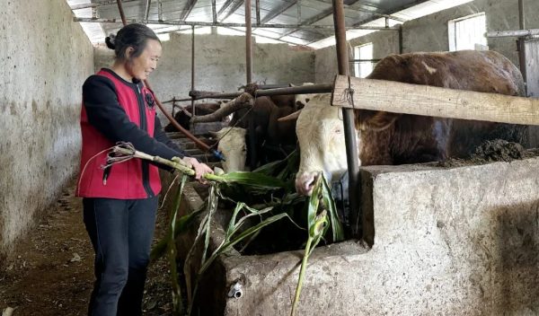 坚韧母爱，30年孝老敬亲插图5