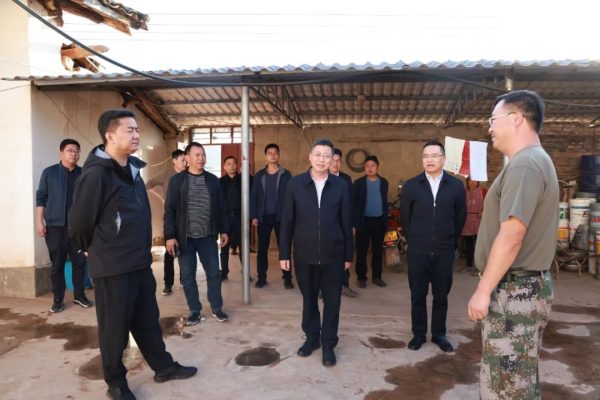 环江红到姜州镇 鲹鱼河镇调研乡村振兴示范村创建插图1