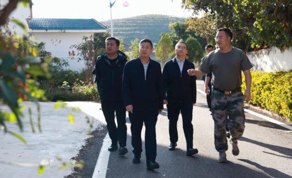 环江红到姜州镇 鲹鱼河镇调研乡村振兴示范村创建插图