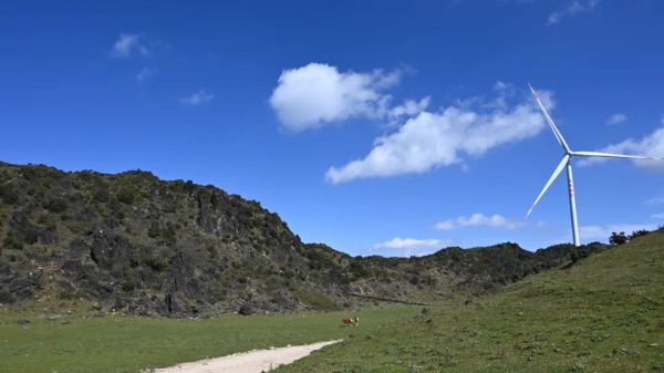 新街镇：农文旅融合发展助力乡村振兴！插图3