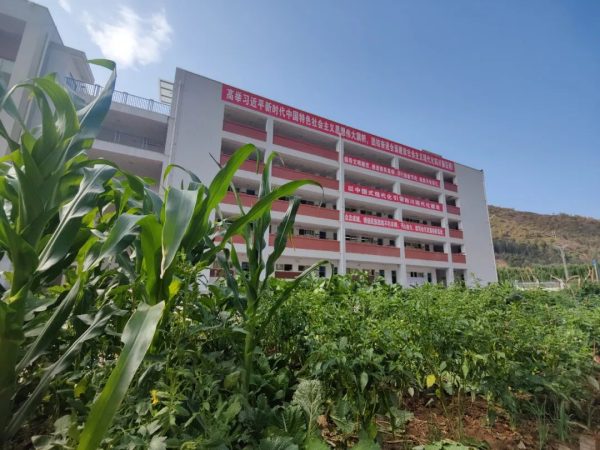 会东和文中学：学生在校园里有了自己的“开心农场”插图