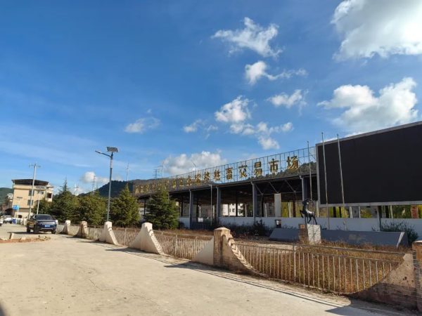 堵格镇以黑山羊养殖产业推动乡村振兴插图3