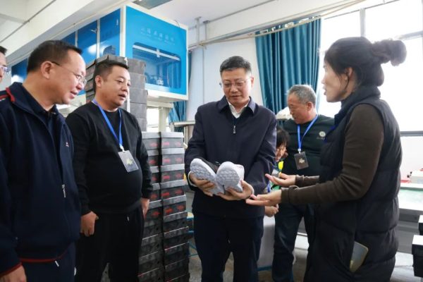 环江红调研水电移民后扶发展工作插图