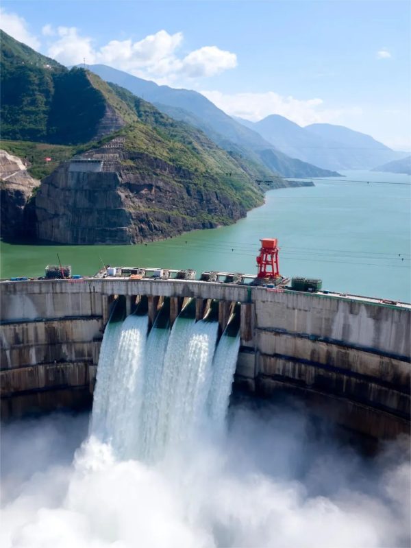 会东的黑松露：山野的狂放与人间美味插图4