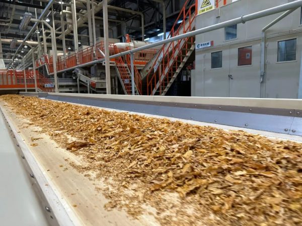 会东复烤厂,2023烤季打叶复烤加工工作正式开始!插图2 会东复烤厂,2023烤季打叶复烤加工工作正式开始!插图2