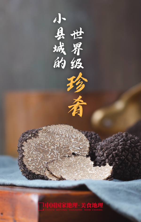 会东的黑松露：山野的狂放与人间美味插图