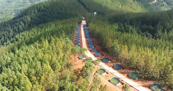 会东县冬明春森林草原防灭火工作插图1