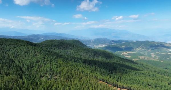 会东县冬明春森林草原防灭火工作插图2