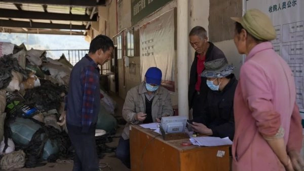 会东县烟草专卖局(分公司)积极推行废旧地膜回收再利用插图2 会东县烟草专卖局(分公司)积极推行废旧地膜回收再利用插图2