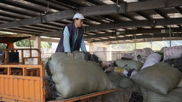 会东县烟草专卖局(分公司)积极推行废旧地膜回收再利用插图1 会东县烟草专卖局(分公司)积极推行废旧地膜回收再利用插图1