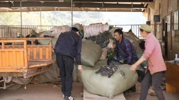 会东县顺其劳务有限公司积极拓展业务范围,提供多元化服务-会东网