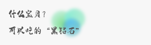 会东的黑松露：山野的狂放与人间美味插图3