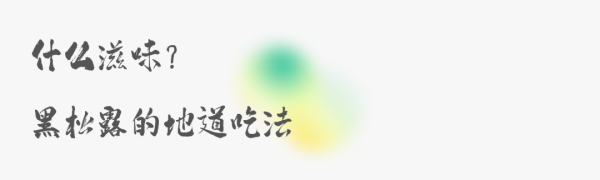 会东的黑松露：山野的狂放与人间美味插图9