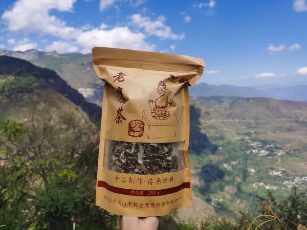 台湾商人宓欣怡一行考察会东县老鹰茶产地!插图3 台湾商人宓欣怡一行考察会东县老鹰茶产地!插图3