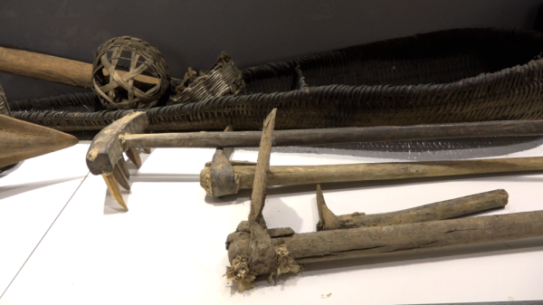 参观农耕文化展示区,感受古人智慧与农耕文明的魅力插图4 参观农耕文化展示区,感受古人智慧与农耕文明的魅力插图4