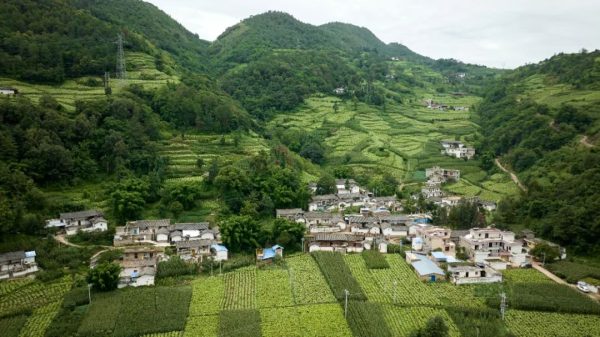 会东铅锌镇聚焦“美丽乡村”大行动工作推进会插图1