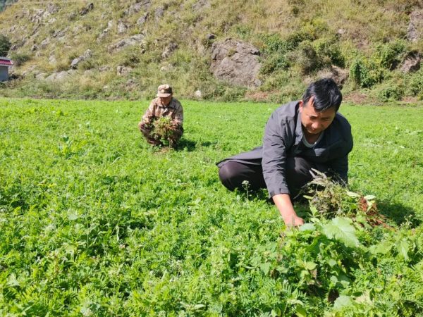 会东县撂荒地整治:打好“组合拳” 实施精准复耕!插图1 会东县撂荒地整治:打好“组合拳” 实施精准复耕!插图1