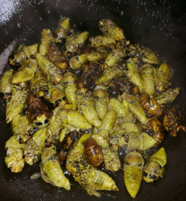 会东山珍美食炸知了(会东特别出名的小吃）?插图1