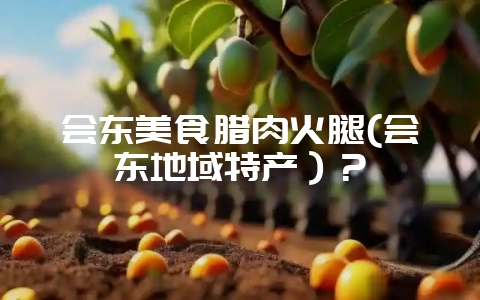 会东美食腊肉火腿(会东地域特产)?-会东网