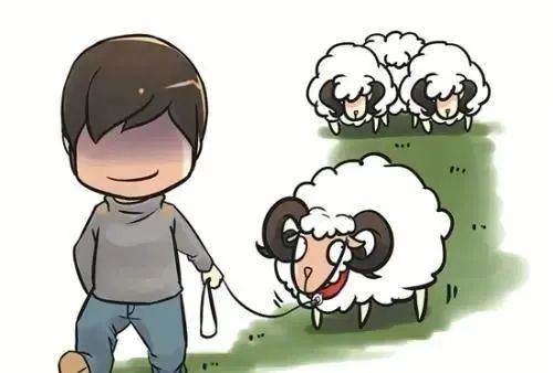 诚信、道德与法律意识:构建和谐社会的基石-会东网