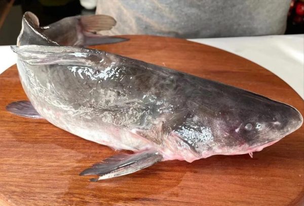 【会东美食】江团鱼三汁焖锅,口感鲜嫩酱香浓郁,让你口水四溢!插图1 【会东美食】江团鱼三汁焖锅,口感鲜嫩酱香浓郁,让你口水四溢!插图1