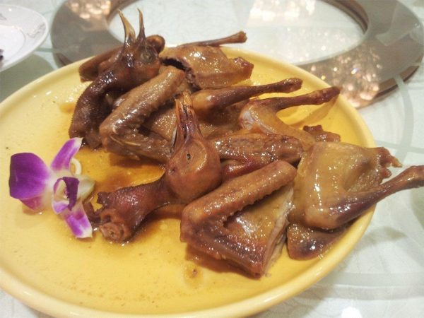 “铁板火锅肉片”、“凉拌菠菜泥”和“卤水乳鸽”的做法插图6 “铁板火锅肉片”、“凉拌菠菜泥”和“卤水乳鸽”的做法插图6