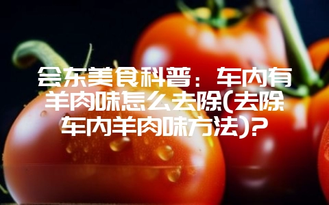 会东美食科普:车内有羊肉味怎么去除(去除车内羊肉味方法)?-会东网