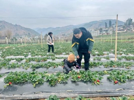 会东县地金原松露产业发展有限公司电话及介绍?-会东网