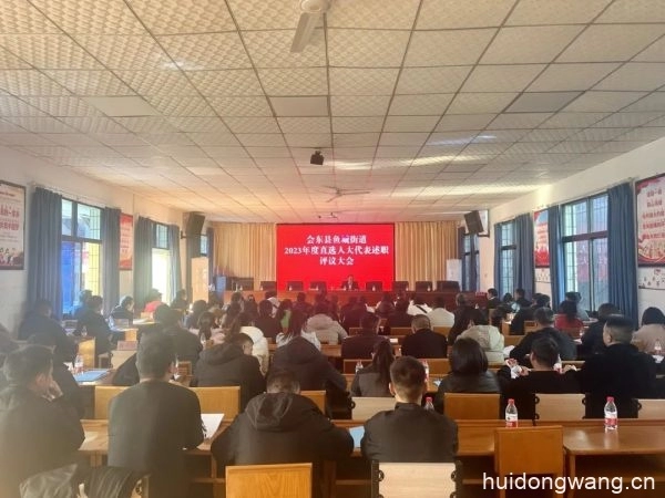 鱼城街道2023年度直选人大代表述职评议会召开-会东网