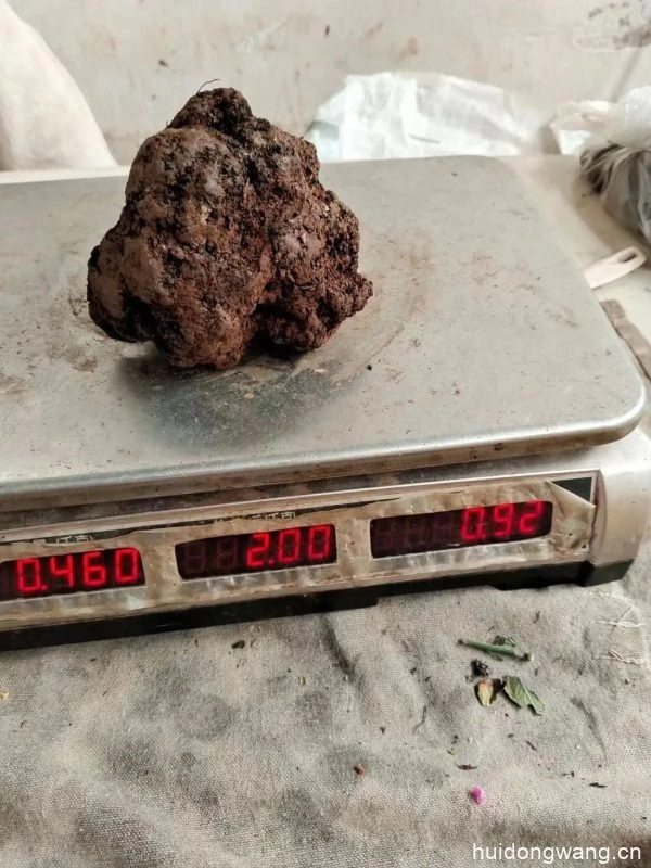 会东深化“乡村振兴巾帼行动”：妇女技能提升培训班助力创业就业插图2