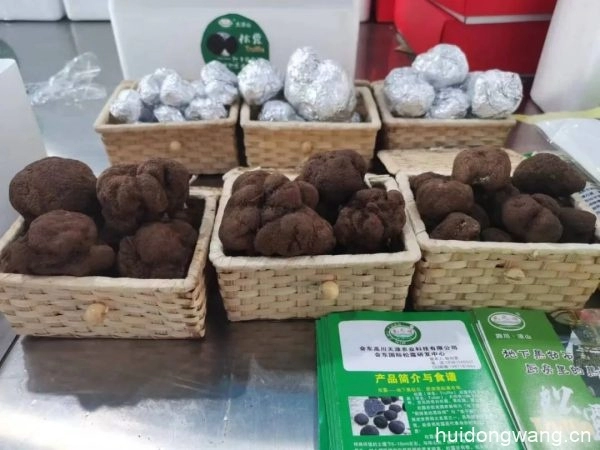会东县举办冬季美食文化季,以黑山羊和黑松露为主角插图5 会东县举办冬季美食文化季,以黑山羊和黑松露为主角插图5