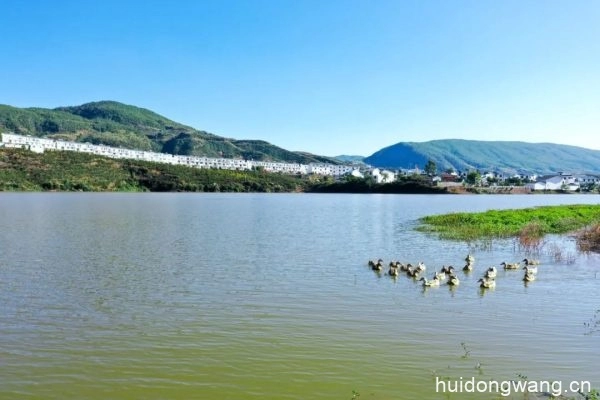 会东县鱼山村（行政区划信息）？插图