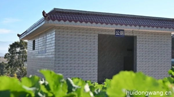 铁柳镇推进“厕所革命”是关系民生民心的大工程插图2