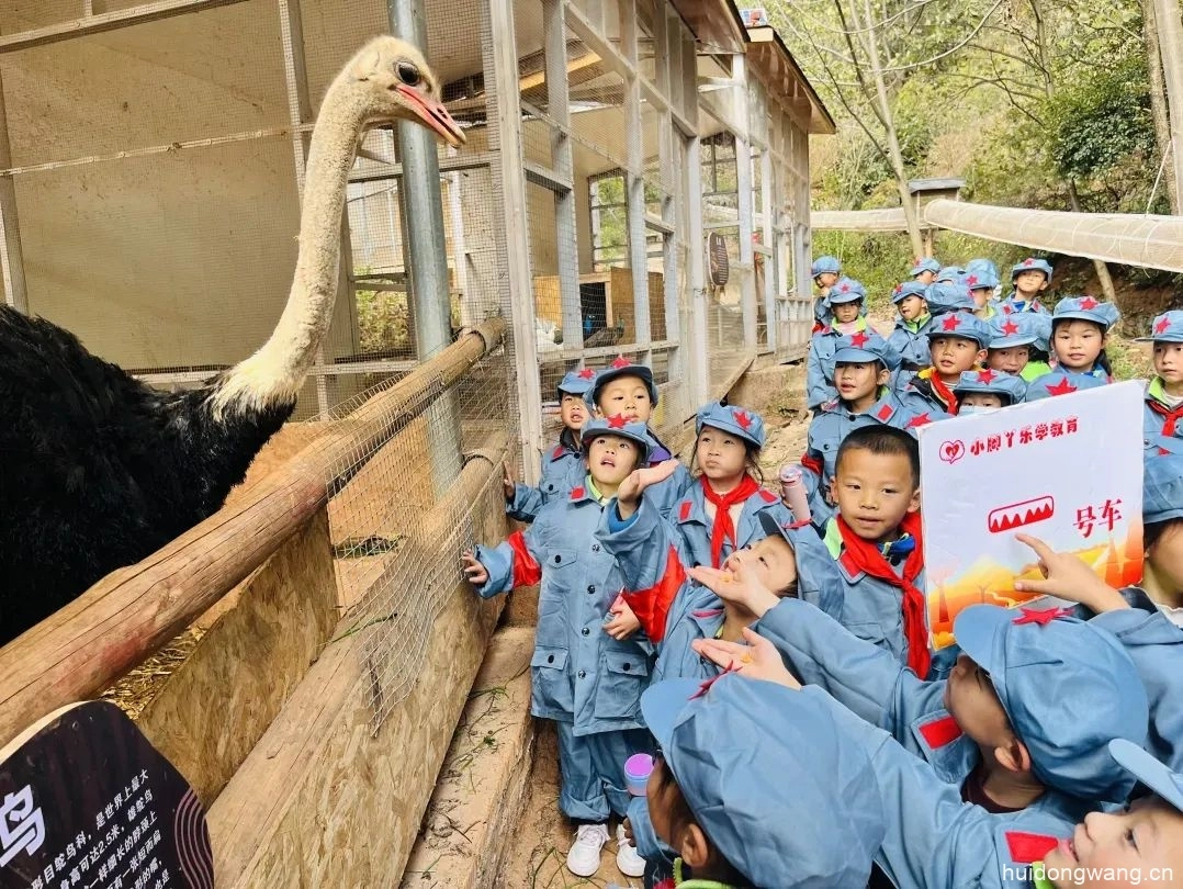 会东县鲹鱼河镇中心校开展“红色精神·薪火相传”研学实践活动插图18 会东县鲹鱼河镇中心校开展“红色精神·薪火相传”研学实践活动插图18