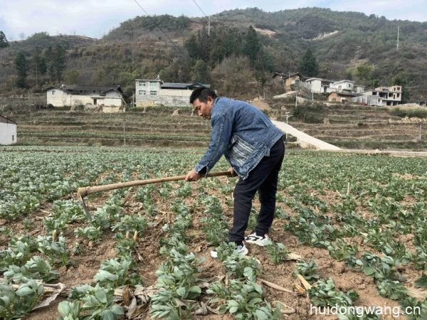 会东县:高标准农田建设助力耕地保护与乡村振兴插图 会东县:高标准农田建设助力耕地保护与乡村振兴插图