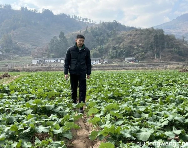 会东县:高标准农田建设助力耕地保护与乡村振兴插图2 会东县:高标准农田建设助力耕地保护与乡村振兴插图2