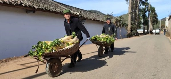 会东县政协通过“有事来协商”平台解决民生问题,助力乡村振兴插图3 会东县政协通过“有事来协商”平台解决民生问题,助力乡村振兴插图3