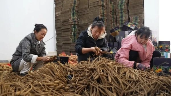 赵正会：从打工妹到电商带头人的逆袭之路插图2